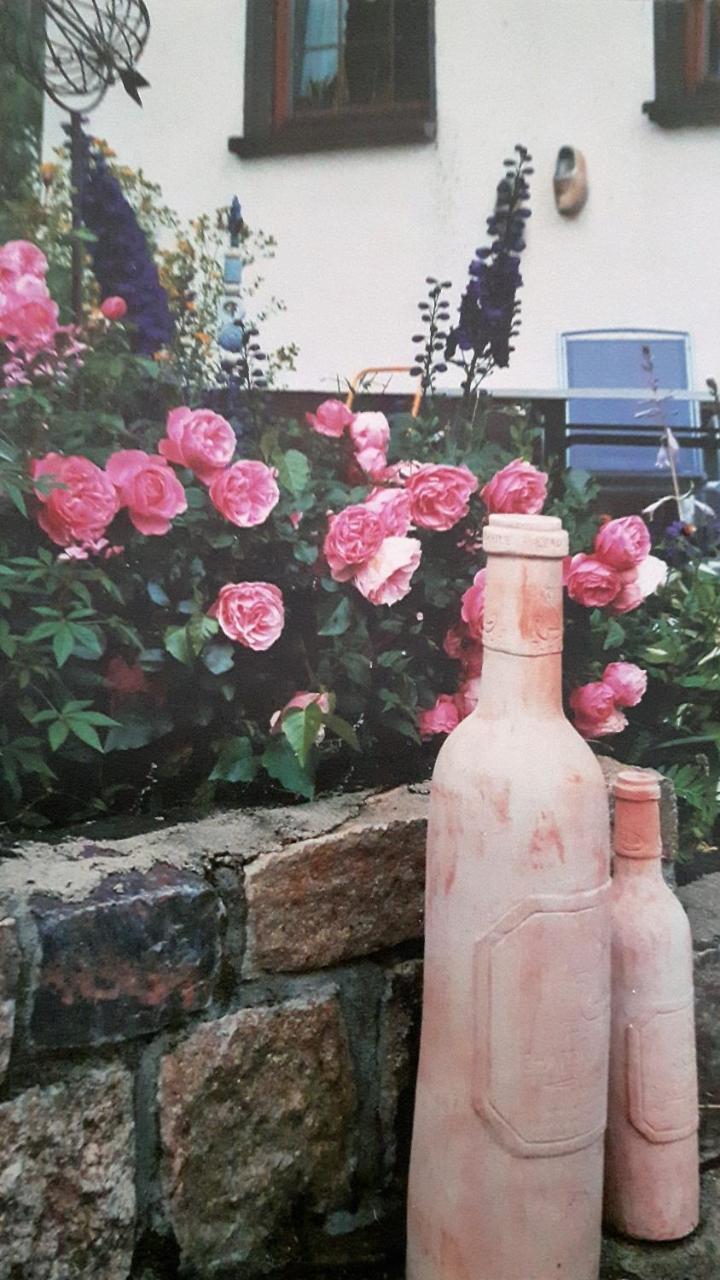 Landhotel "Lichte Aue" Lichtenau Stutzengrun المظهر الخارجي الصورة