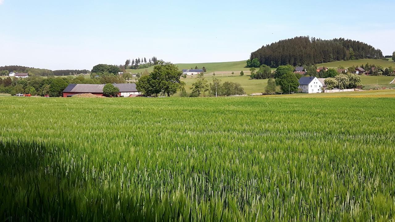 Landhotel "Lichte Aue" Lichtenau Stutzengrun المظهر الخارجي الصورة